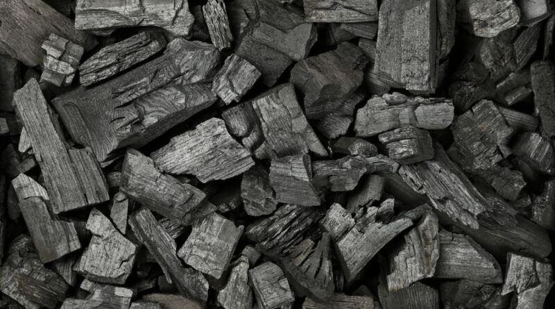 Trusted Coconut Charcoal Briquette Supplier
