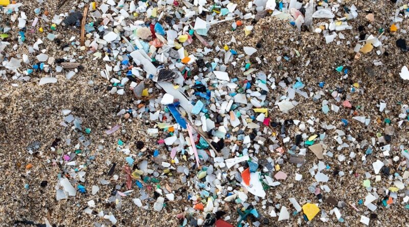 bahaya mikroplastik makanan