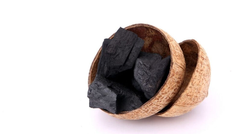 Charcoal Briquette Supplier for Horeca Industry