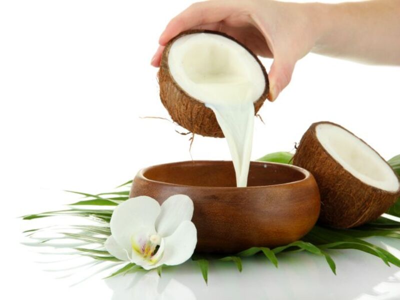 ide usaha kelapa rumahan