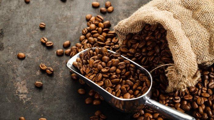 Teknologi pencucian biji kopi modern