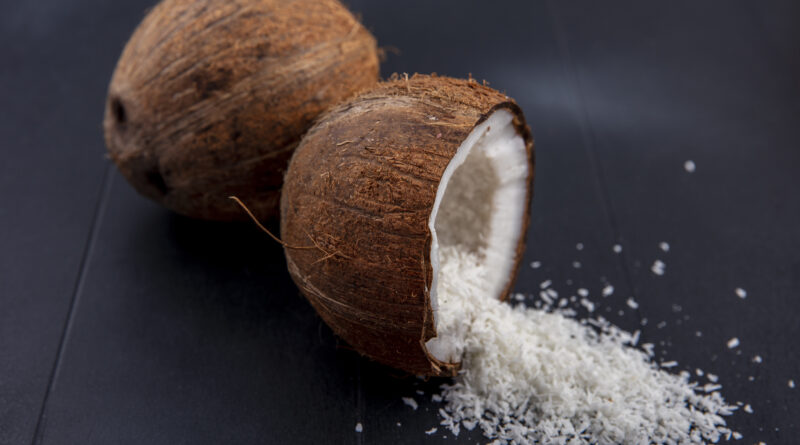 Alat Keruk Kelapa Praktis