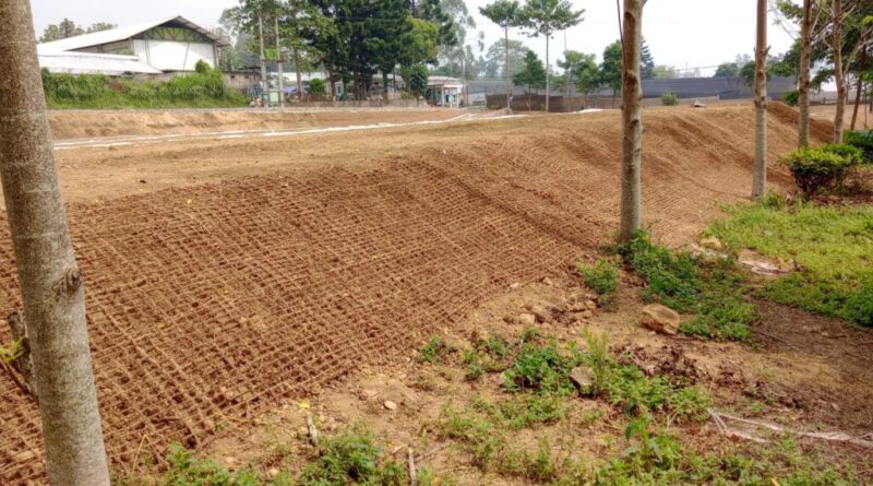 Cocomesh untuk pemulihan vegetasi padang mangrove