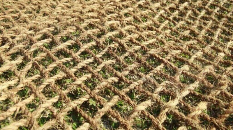 Studi Kasus Model Bisnis Berkelanjutan Cocomesh