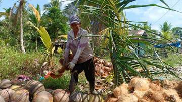 Sabut Kelapa sebagai Inovasi Green Tech