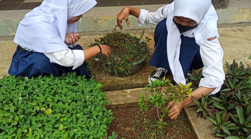 Proyek Inovasi Lingkungan Sekolah Menggunakan Cocomesh
