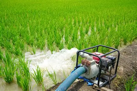 pengairan sawah menggunakan pompa