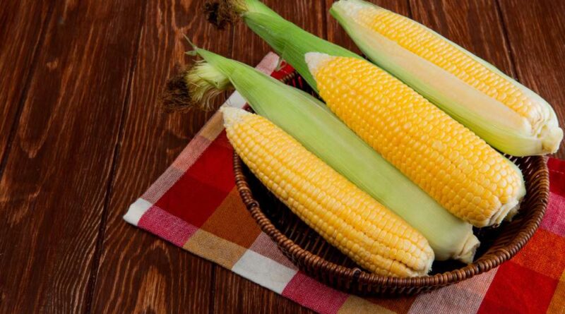 Keunggulan Mesin Pemipil Jagung