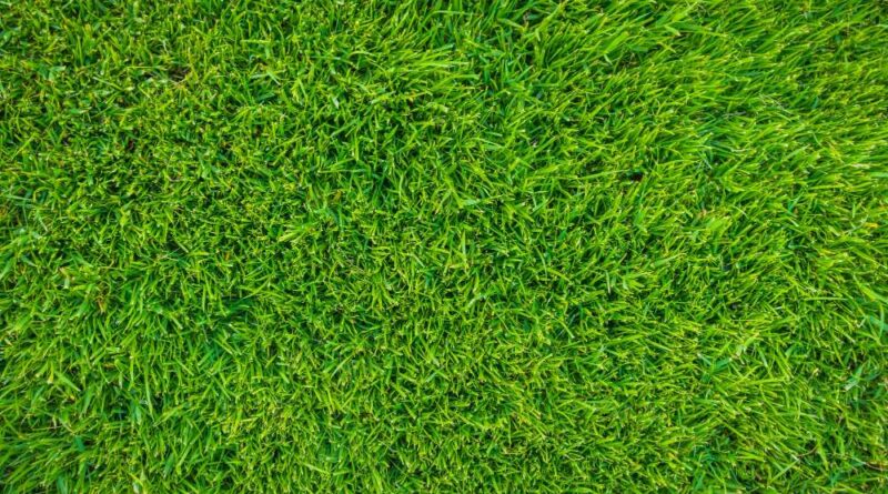 Kelebihan Pencacah Rumput Multifungsi