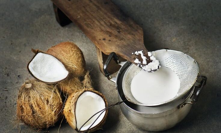 Mesin parut kelapa industri