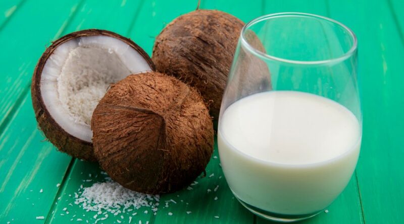 Manfaat Mesin Pemeras Santan