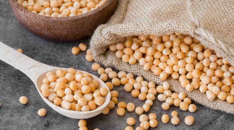 Keunggulan Mesin Giling Kedelai