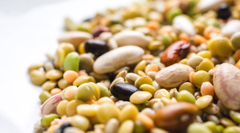 Peran Mesin Pembersih Biji Bijian