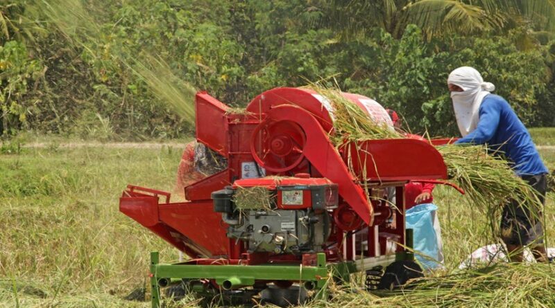 mesin panen padi hasil bersih