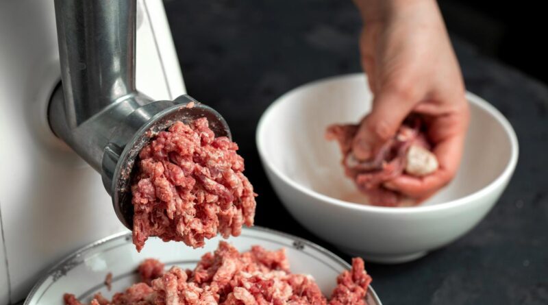 tips memilih mesin giling daging