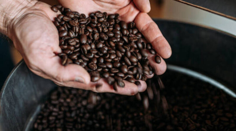 cara menggiling biji kopi yang benar