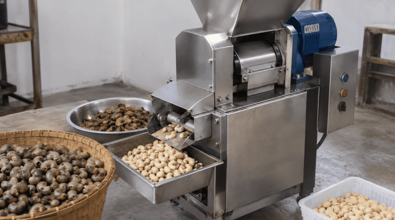 proses pengolahan kacang mete