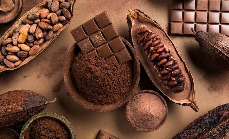 penyebab coklat kakao terasa sepat