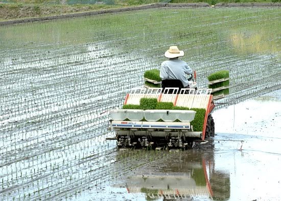 cara kerja penyalur bibit padi